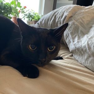 Meet your Posher, Nichole